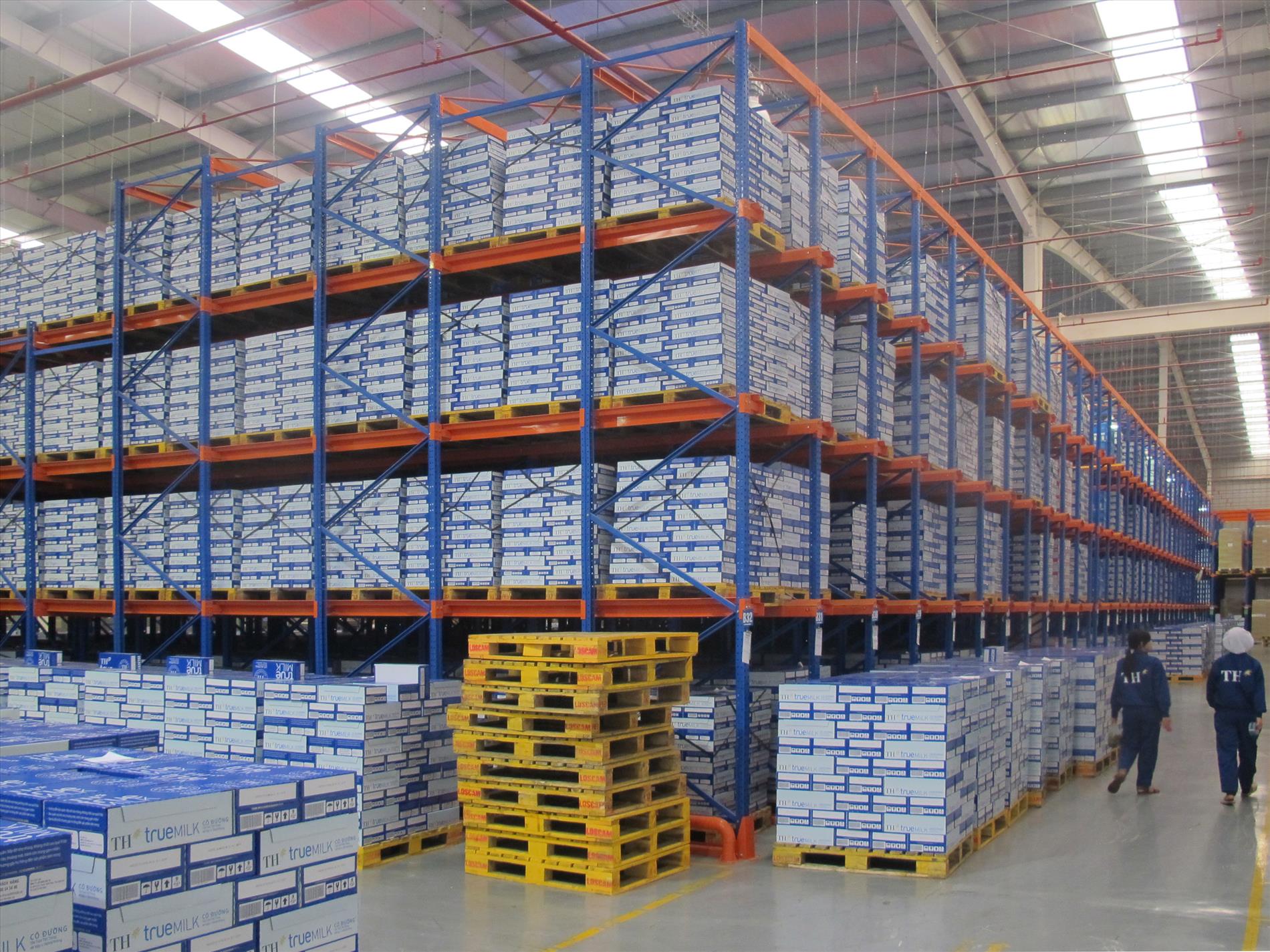 Collection of the hottest warehouse racking in 2019